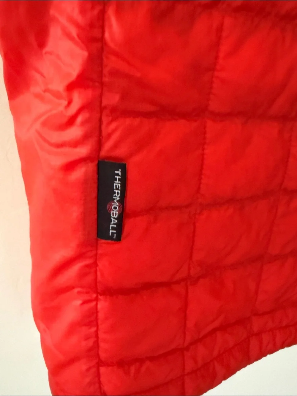 The North Face north face